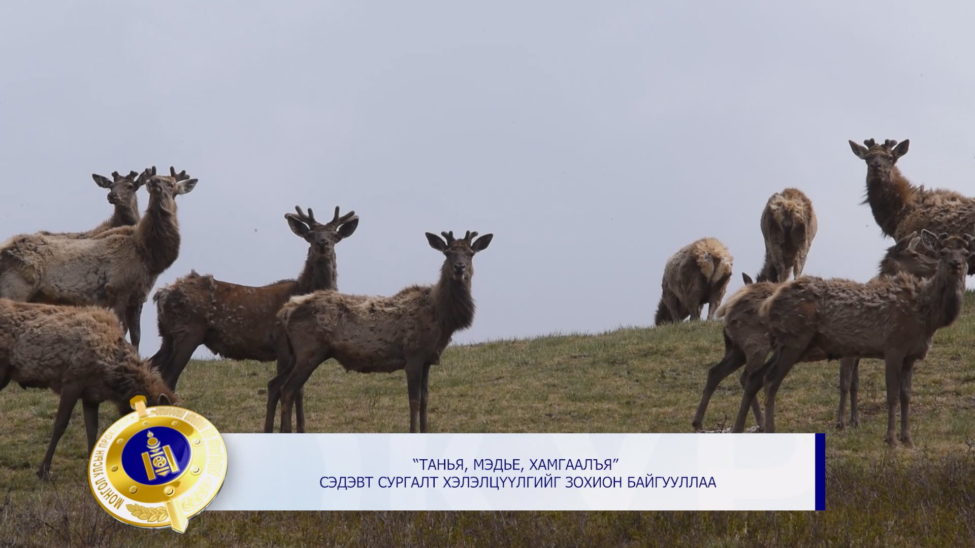 ХҮРЭЭЛЭН БАЙГАА ОРЧНЫ ЭСРЭГ ГЭМТ ХЭРГИЙН УЛМААС БАЙГАЛЬ ЭКОЛОГИД 1.2 ТЭРБУМ ТӨГРӨГИЙН ХОХИРОЛ УЧИРЧЭЭ